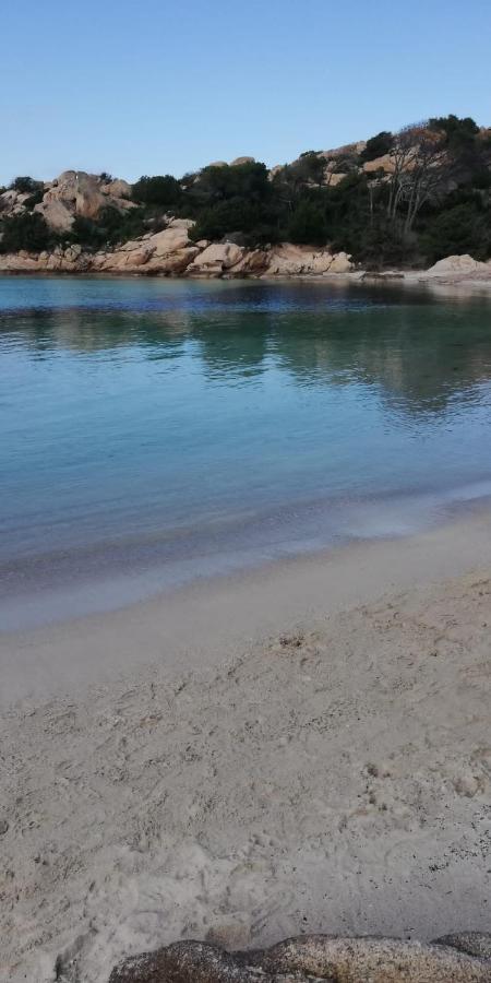 Oasiglo Διαμέρισμα Λα Μανταλένα Εξωτερικό φωτογραφία