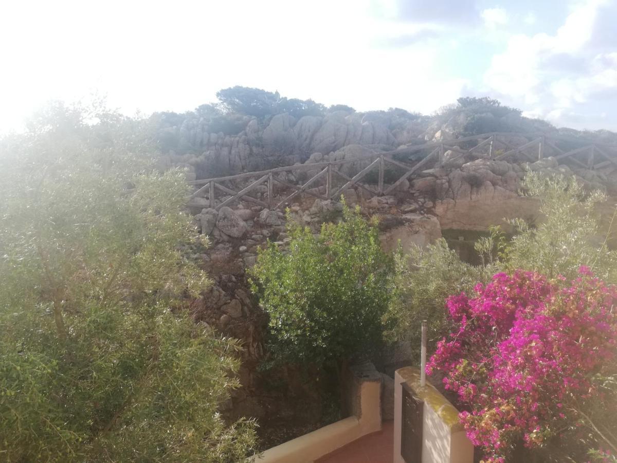 Oasiglo Διαμέρισμα Λα Μανταλένα Εξωτερικό φωτογραφία