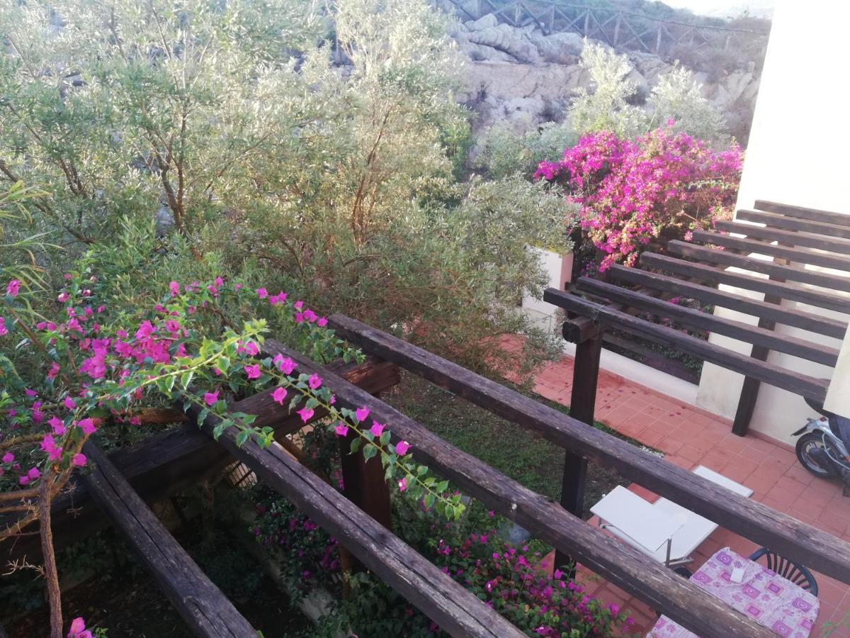 Oasiglo Διαμέρισμα Λα Μανταλένα Εξωτερικό φωτογραφία